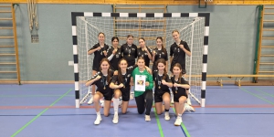 Schwäbischer Meister im Handball